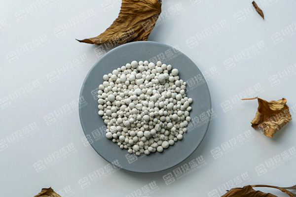 沸石未來10年將實現(xiàn)5%的正復(fù)合年增長率-國投盛世