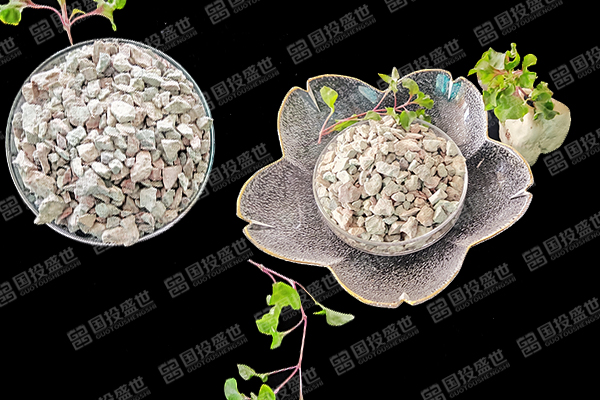 沸石在蟶子養殖中有哪些好處？
