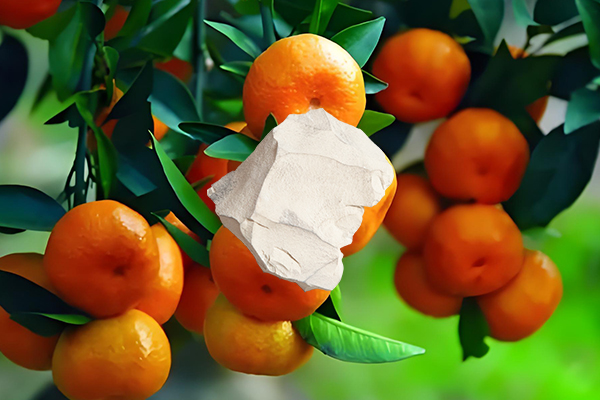 沸石能否提高柑橘種植的產(chǎn)量？-國(guó)投盛世
