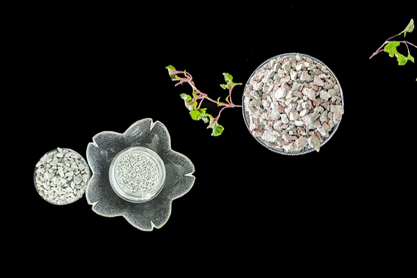 沸石能否助力空心菜產量提升？